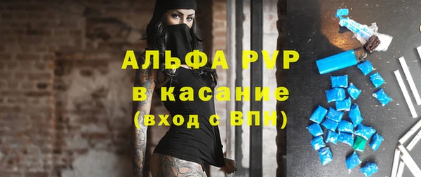 ECSTASY Алзамай