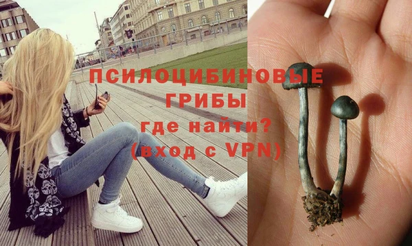ECSTASY Алзамай