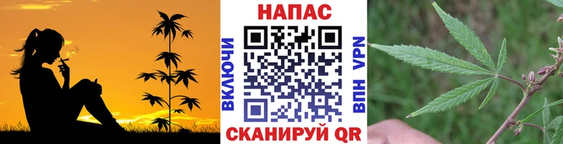 Шишки марихуана гибрид Саранск
